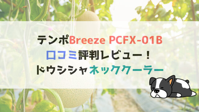テンポBreeze PCFX-01Bの口コミ評判レビュー！ドウシシャ
